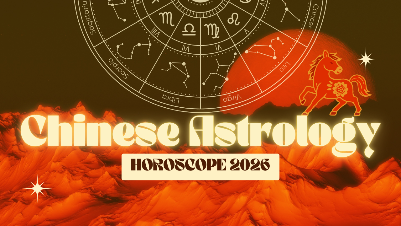2026 Year of the Horse; Zodiac Sign Reading ~ Per Chinese Astrology | by  Velvet Diary | Medium
