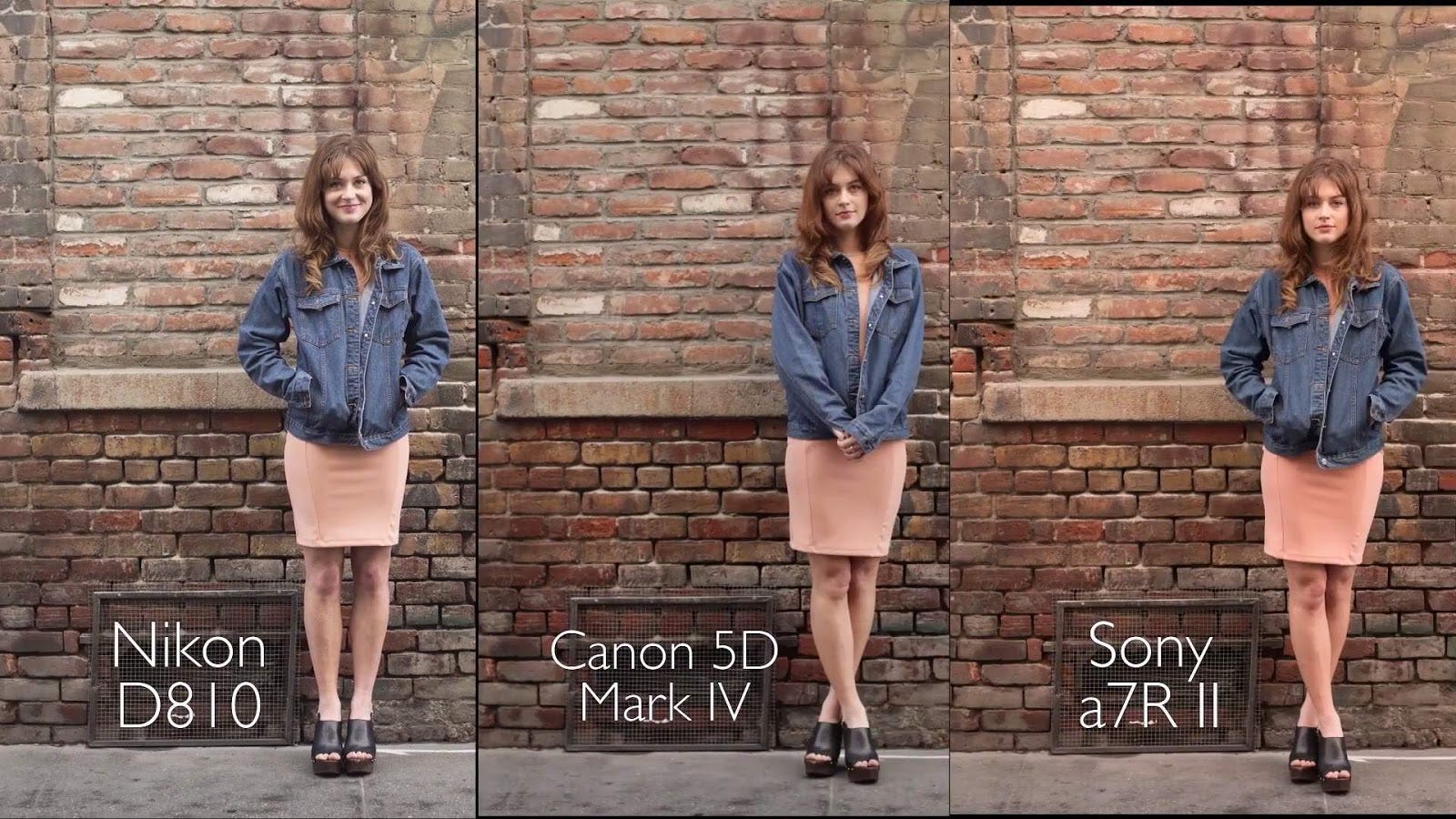 Canon - look PowerShot-Ambient-Image.jpg?ssl=1