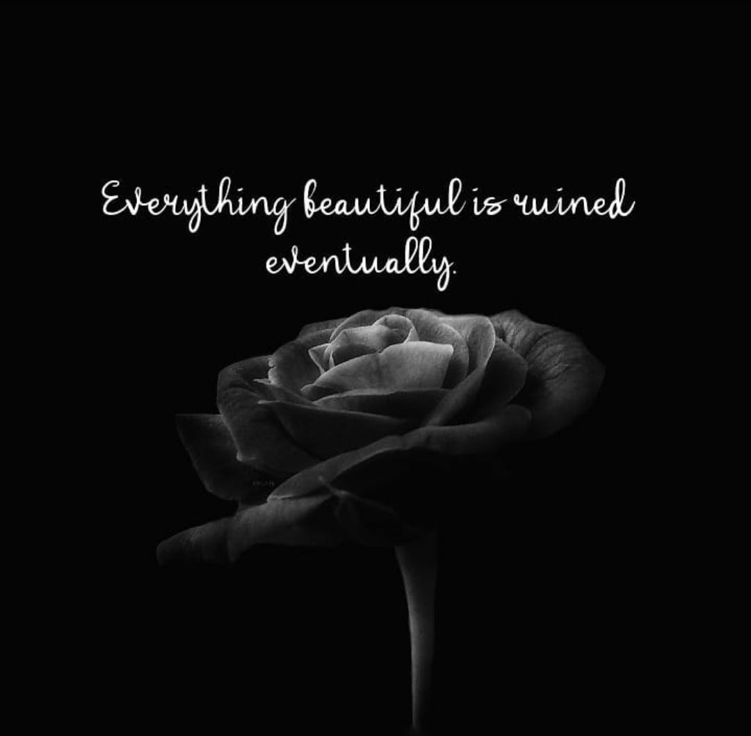 Red Rose on a Black Background, Stone. a Condolence Card. Empty Space for  Emotional, Quotes or Sayings Stock Image - Image of grief, deepest:  156915001, image size:1080x1058