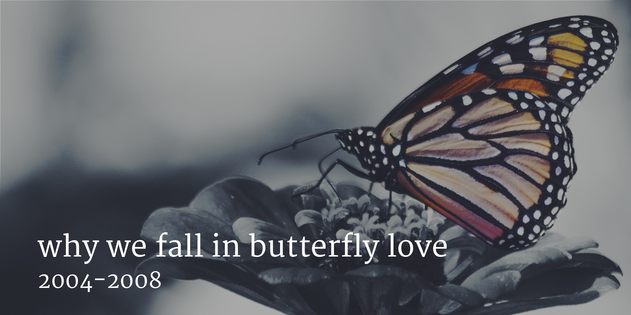 Crush Quotes: Heartfelt and Cute Sayings to Express Your Secret Feelings, image size:2048x1024