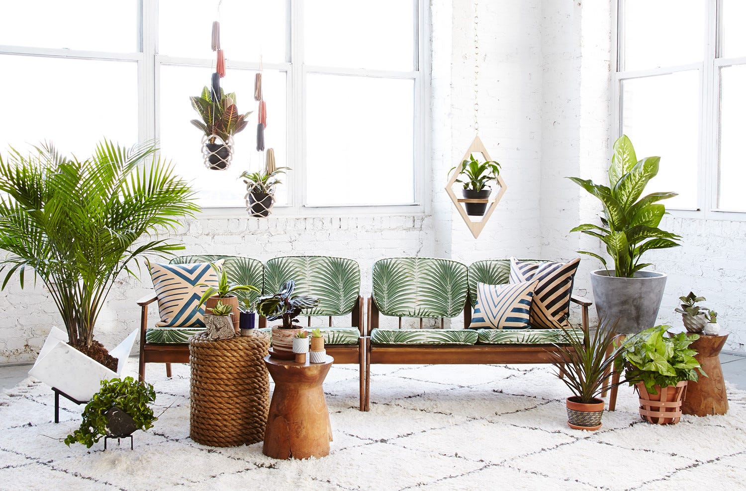 How to Use Plants in the Interior | by Anna Samygina | Basics of Interior  Design | Medium