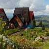 Eco-villages Are the Future of Green Communities
