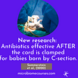 Antibiotics are effective AFTER the cord is clamped for babies born by C-section