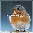 The Way Of Grace