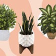 All About Artificial Plants