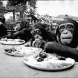 Rare pictures from old zoos