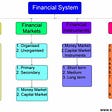 How Financial Institutions works in India?