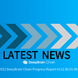 DeepBrain Chain Progress Report #112 06.01–06.15(2022)