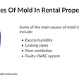How To Get Rid Of Mold In Your Rental Properties