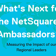 What’s Next for the NetSquared Ambassadors?