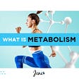 What Is Metabolism?