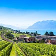 Someplace New: Winemaking in Switzerland