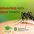 Para onde foram a Dengue, Zika vírus, febre Chikungunya e a Febre Amarela em Época de Covid-19?