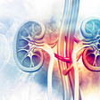 Kidney Health: These 5 things directly harm your kidney, make the distance soon, otherwise this…