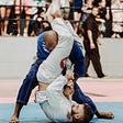 Shaping forces of Brazilian Jiu Jitsu