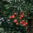 10 CRO Low-Hanging Fruits That Will Give You An Immediate Win