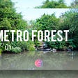 Chapter 38 : Metro Forest