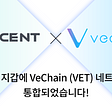 디센트 지갑에 VeChain (VET) 네트워크가 통합되었습니다!