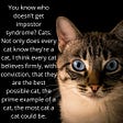 Cats Don’t Get Impostor Syndrome