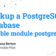 Backup a PostgreSQL Database — Ansible module postgresql_db