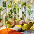 Biophilic Design on a Budget: It’s Easy Being Green