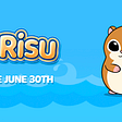 $RISU Token — Implementing Proven Tokenomics Without Taking The Shortcuts They Create