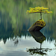 Lake Tree, British Columbia, Canada