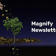 Magnify #14 — Венчурні фонди: Бери 💰, йди