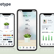 Leaf: a smart home for your plants