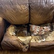 They left her body fused to the sofa for 12 YEARS