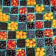The future of berries amid climate change: a townhall discussion with Soren Bjorn, President of…