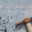 Why and How to use TypeScript in your React App?
