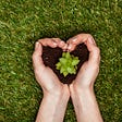 6 Easy Ways Nonprofits Can Become More Eco-Friendly