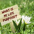 Finding purpose in life.