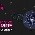 ATOM by ATOM: Cosmos Project Overview