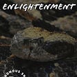 Project Enlightenment Available Now