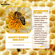 Why We Should Save Bees: Importance of Bees to our Planet