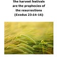 The harvest festivals are the prophecies of the resurrections, of Christ, of the 144,000 (heavenly)…