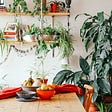 12 Ways to Practice Sustainability at Home