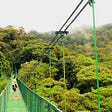 Travel Guide To Monteverde, Costa Rica