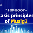 Basic principles of Musig2