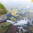 Your Data Lake is Polluted, Now What?