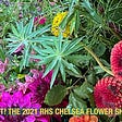 Shot! The 2021 RHS Chelsea Flower Show