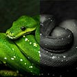 Colorize Your Black & White Photos Using Free Python3-based AI