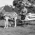 The Forgotten Exotic Animals of Golden Gate Park