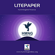 Hummingbird Finance Litepaper