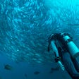 UPDATED: The Economics of Being a Recreational Scuba Diving Instructor: Survey Results