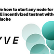 Guide how to start any node for KYVE incentivized testnet without a headache