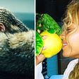 A Comprehensive Ranking of Beyonce’s Most Culturally Relevant Albums