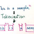Summer Research Recap: Analyzing the Information Density of Various Tokenizations for the…